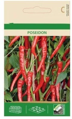 CYBEXIS HOT Pepper Chilli Poseidon Seeds2400 Seeds Seed(2400 per packet)