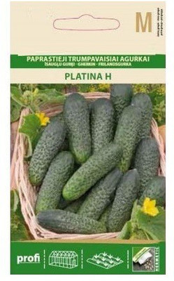 CYBEXIS Cucumber/Gherkin Platina H Seeds1000 Seeds Seed(1000 per packet)