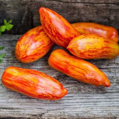 CYBEXIS Easy to Plant Red Green Tomato Seeds2000 Seeds Seed(2000 per packet)