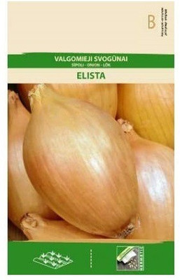 CYBEXIS Onion ELISTA Seeds1000 Seeds Seed(1000 per packet)