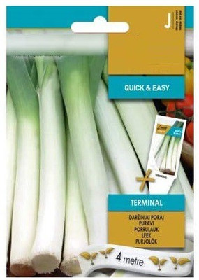 CYBEXIS Leek Terminal Seeds4000 Seeds Seed(4000 per packet)
