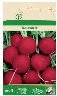 CYBEXIS Round Red Radish Seeds-300 Seeds Seed(300 per packet)