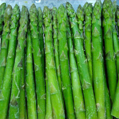 CYBEXIS Heirloom Asparagus Seeds400 Seeds Seed(400 per packet)