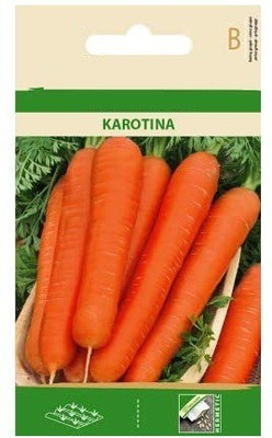 CYBEXIS Carrot KAROTINA Seeds2000 Seeds Seed(2000 per packet)
