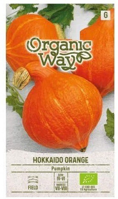 CYBEXIS Pumpkin Hokkaido Orange Seeds-50 Seeds Seed(50 per packet)