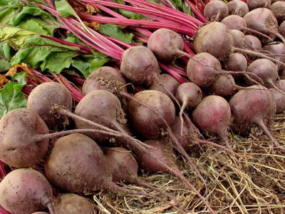 CYBEXIS Beetroot Seeds Heirloom1000 Seeds Seed(1000 per packet)