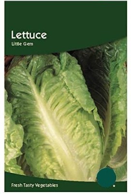 CYBEXIS Lettuce Little Gem Seeds2000 Seeds Seed(2000 per packet)