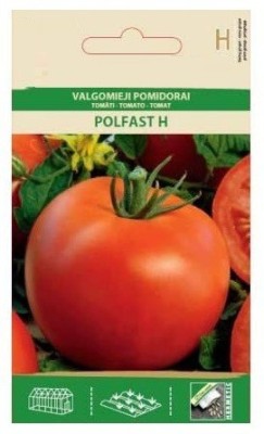 CYBEXIS Tomato POLFAST H Seeds2000 Seeds Seed(2000 per packet)