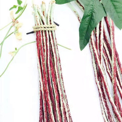 CYBEXIS Color Long Bean Seeds-100 Seeds Seed(100 per packet)