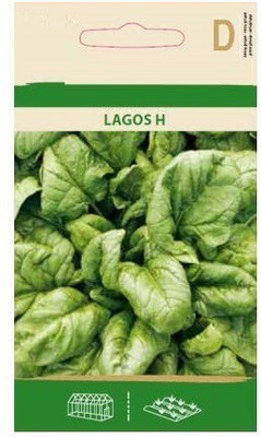 CYBEXIS Spinach Lagos H Seeds4000 Seeds Seed(4000 per packet)