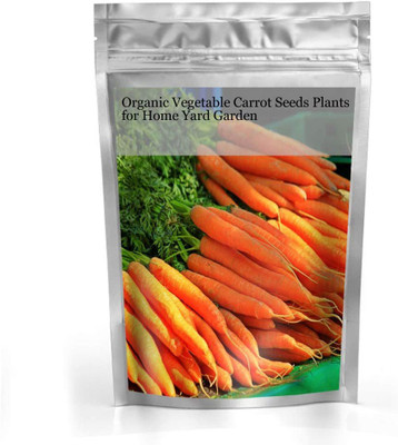 CYBEXIS Organic Hybrid Carrot Seeds2000 Seeds Seed(2000 per packet)
