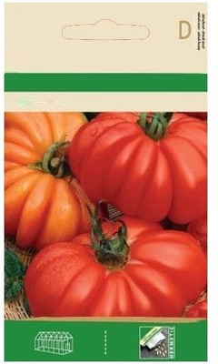 CYBEXIS Tomato COSTOLUTO FIORENTINO Seeds2000 Seeds Seed(2000 per packet)