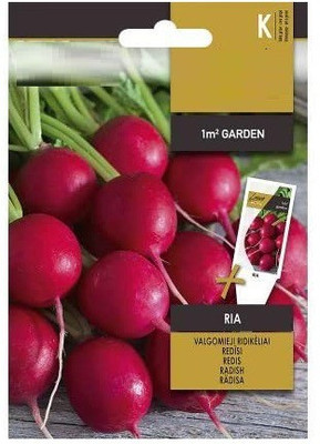 CYBEXIS Radish RIA Seeds2400 Seeds Seed(2400 per packet)