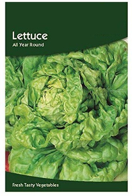 CYBEXIS Lettuce All Year Round Seeds4000 Seeds Seed(4000 per packet)