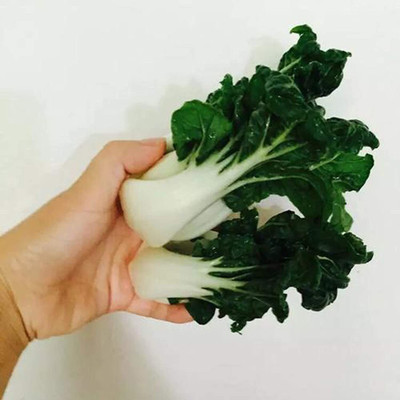 CYBEXIS Pak Choi Crop Seeds-100 Seeds Seed(100 per packet)