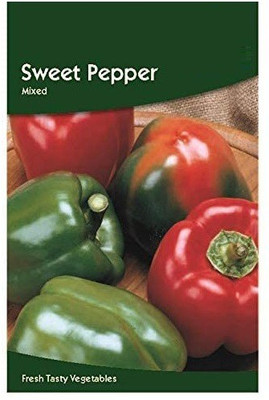CYBEXIS Capsicum/Sweet Bell Pepper Mixed Seeds1200 Seeds Seed(1200 per packet)
