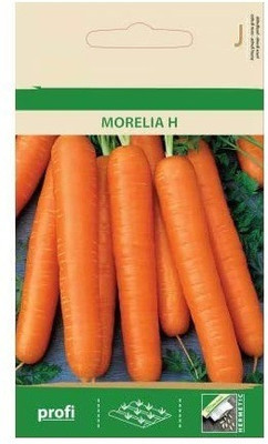 CYBEXIS Carrot Morelia H Seeds2000 Seeds Seed(2000 per packet)