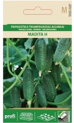CYBEXIS Cucumber/Gherkin MADITA H Seeds2000 Seeds Seed(2000 per packet)