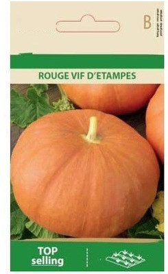 CYBEXIS Pumpkin Rouge VIF D'ETAMPES Seeds-50 Seeds Seed(50 per packet)