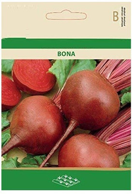 CYBEXIS Beetroot BONA Seeds2000 Seeds Seed(2000 per packet)