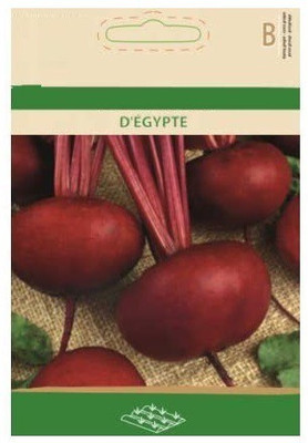 CYBEXIS Beetroot Seed(500 per packet)
