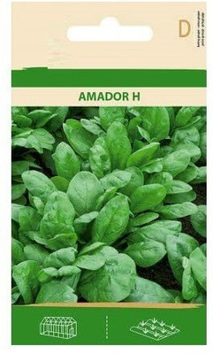 CYBEXIS Spinach Amador H Seeds2000 Seeds Seed(2000 per packet)