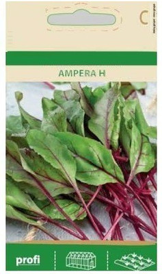 CYBEXIS Swiss Chard Ampera H Seeds1000 Seeds Seed(1000 per packet)