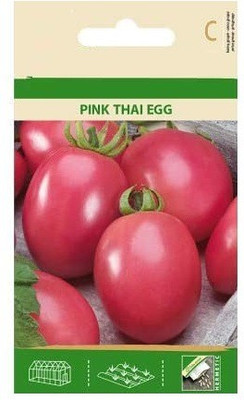 CYBEXIS Tomatoes Pink Thai Egg Seeds 2000 Seeds Seed(2000 per packet)