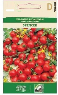 CYBEXIS Tomato Spencer Seeds2000 Seeds Seed(2000 per packet)