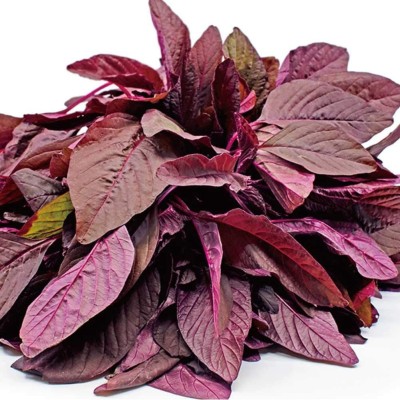 CYBEXIS Amaranthus Vegetables Plants Seeds700 Seeds Seed(700 per packet)