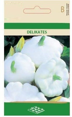 CYBEXIS White Squash Patisson DELIKATES Seeds-50 Seeds Seed(50 per packet)