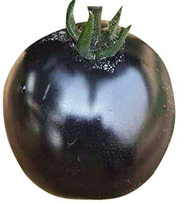 Qualtivate ™ Giant Black Tomato Seeds Seed(500 per packet)