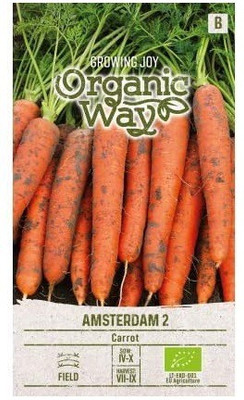 CYBEXIS Carrot Amsterdam Seeds2000 Seeds Seed(2000 per packet)