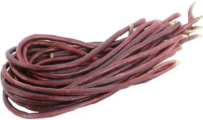 Qualtivate ™ Red Long Bean Seeds Seed(1000 per packet)