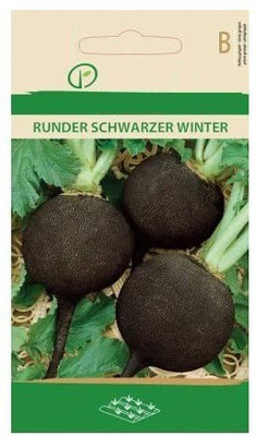 CYBEXIS Radish Black Winter Seeds600 Seeds Seed(600 per packet)