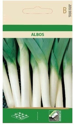 CYBEXIS Leek ALBOS Seeds2000 Seeds Seed(2000 per packet)