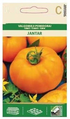 CYBEXIS Tomato JANTAR Seeds1000 Seeds Seed(1000 per packet)