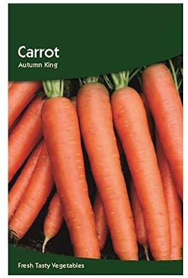 CYBEXIS Carrot Autumn King Seeds1000 Seeds Seed(1000 per packet)