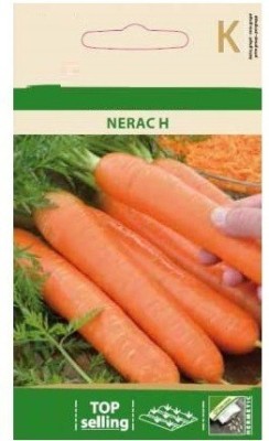 CYBEXIS Carrot NERAC H Seeds4000 Seeds Seed(4000 per packet)