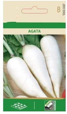 CYBEXIS Radish Agata Seeds2400 Seeds Seed(2400 per packet)