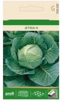 CYBEXIS White Cabbage JETMA H Seeds2000 Seeds Seed(2000 per packet)