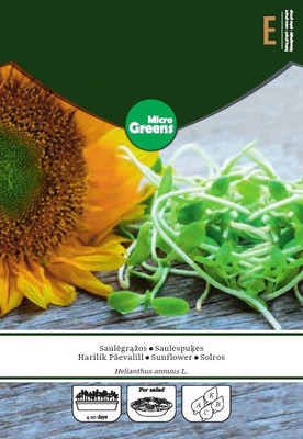 CYBEXIS Sunflower - MICROGREENS Seeds800 Seeds Seed(800 per packet)