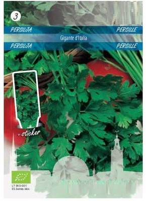CYBEXIS Parsley D'Italia Seeds700 Seeds Seed(700 per packet)