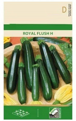 CYBEXIS Zucchini Squash Royal Flush H, Green Seeds400 Seeds Seed(400 per packet)