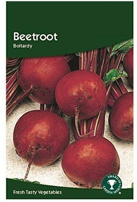 CYBEXIS Beetroot Boltardy Seeds1000 Seeds Seed(1000 per packet)