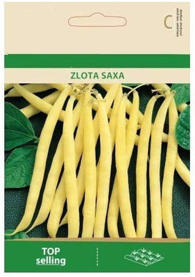 CYBEXIS Dwarf French Bean ZLOTA SAXA Seeds-100 Seeds Seed(100 per packet)
