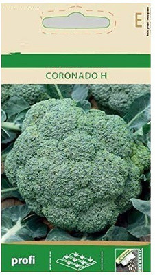 CYBEXIS Broccoli Coronado Hybrid Seeds2000 Seeds Seed(2000 per packet)