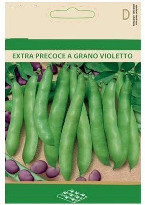 Qualtivate ® Broad Bean VIOLETTO Seeds Seed(1000 per packet)