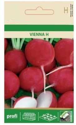 CYBEXIS Radish Vienna H Seeds600 Seeds Seed(600 per packet)