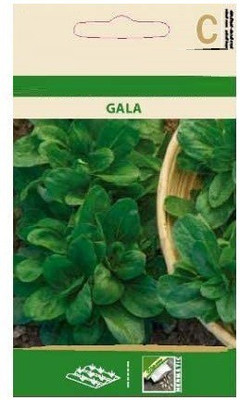 CYBEXIS Lamb’S Lettuce Salad Gala Seeds-500 Seeds Seed(500 per packet)